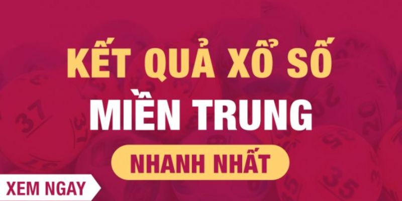 Tổng hợp các cách chơi XSMT hiệu quả từ những chuyên gia